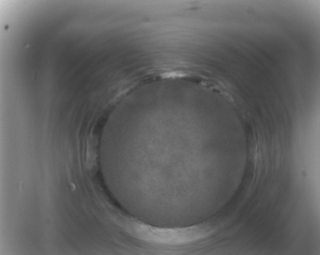 X0000082720030200702021456