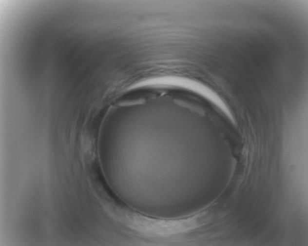 X0000082720031200702021456