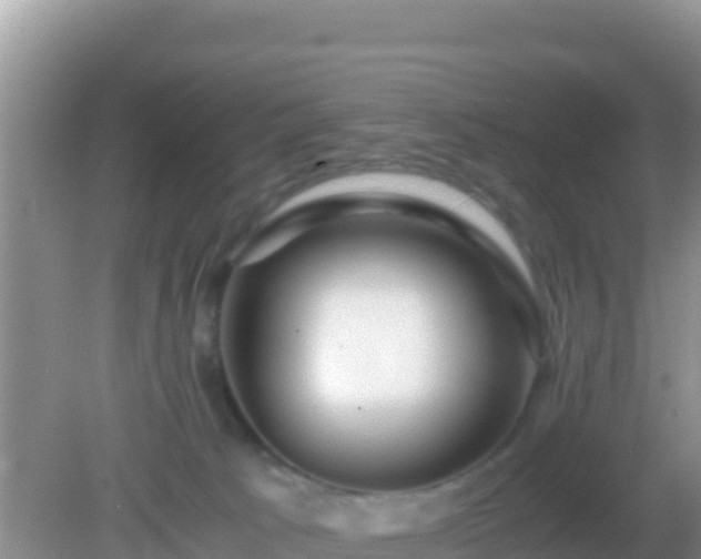 X0000082720033200702021456