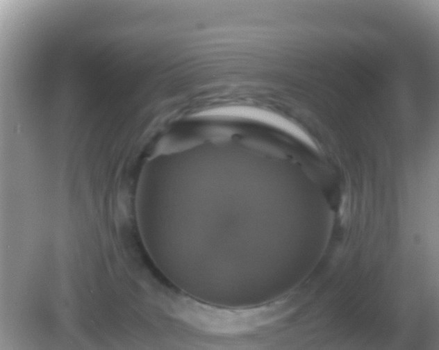 X0000082720035200702021456