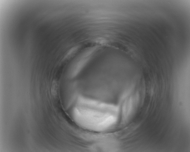 X0000082720036200702021456