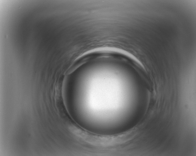 X0000082720037200702021456