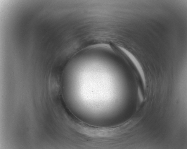 X0000082720040200702021456