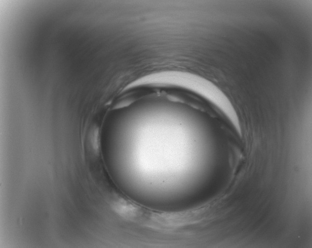 X0000082720041200702021456