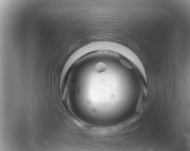 X0000082720045200702021456