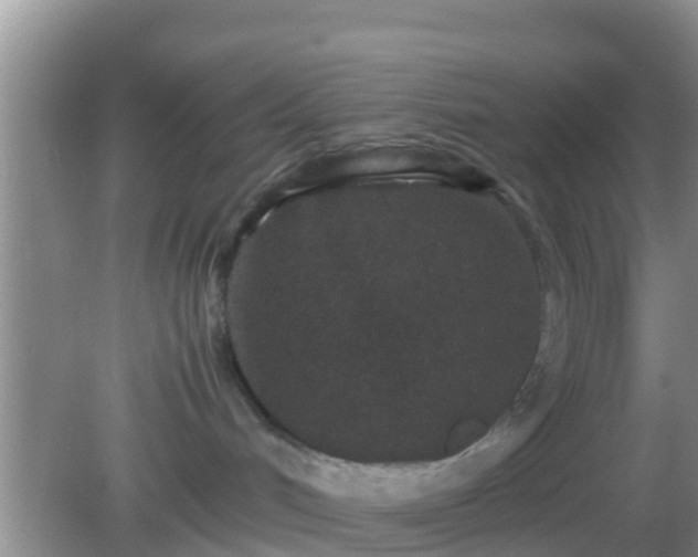 X0000082720048200702021456