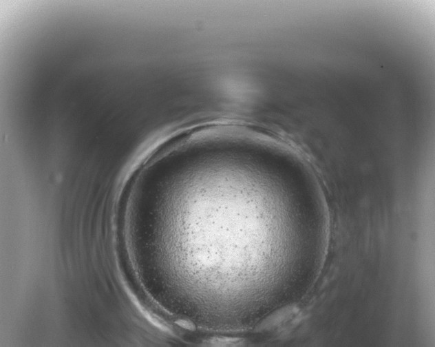 X0000082720055200702021455