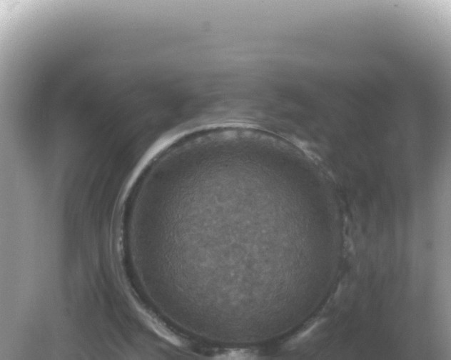 X0000082720056200702021455