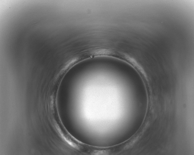 X0000082720057200702021455