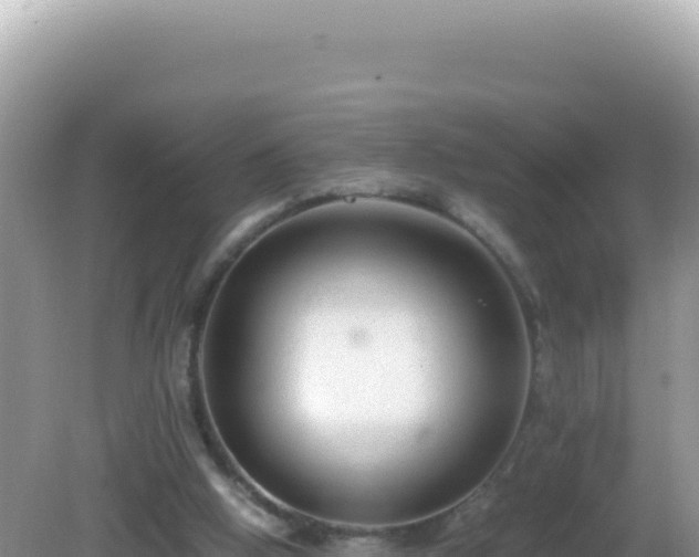 X0000082720058200702021455