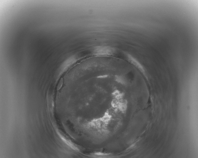 X0000082720059200702021456