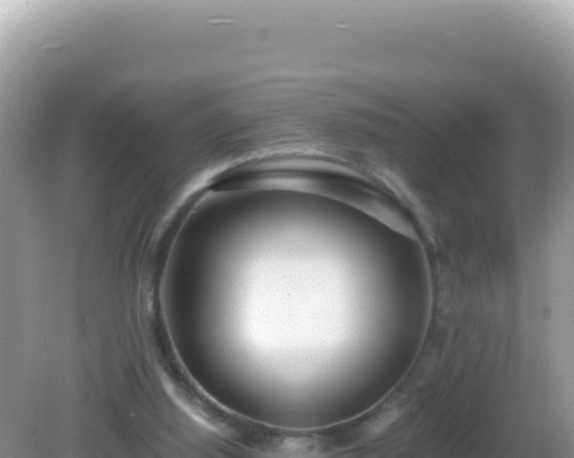 X0000082720060200702021456