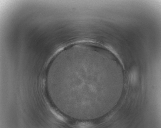 X0000082720063200702021456