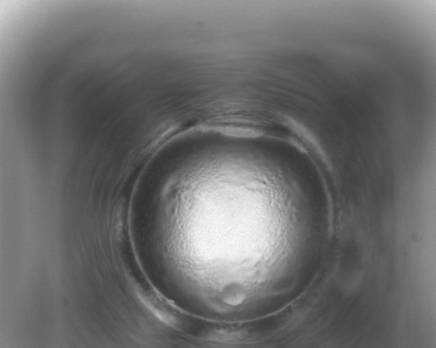 X0000082720065200702021456