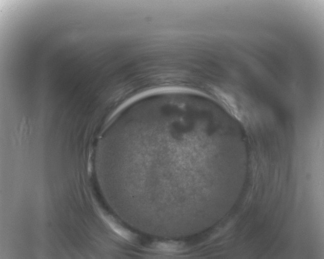 X0000082720069200702021456