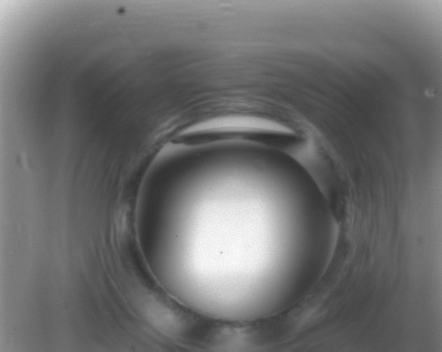 X0000082720071200702021456