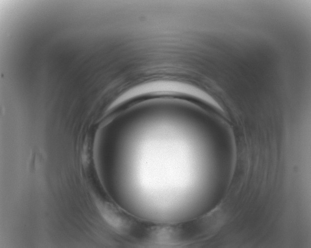 X0000082720074200702021456