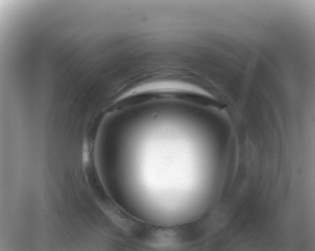 X0000082720075200702021456