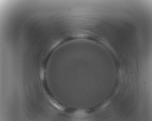 X0000082720076200702021456