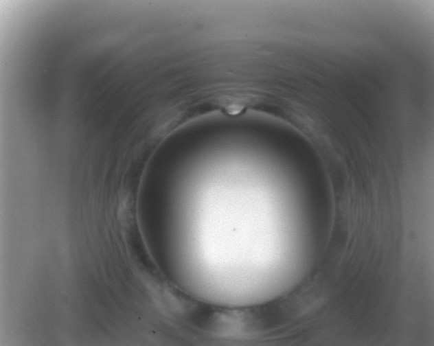 X0000082720079200702021456