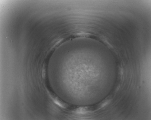 X0000082720080200702021456