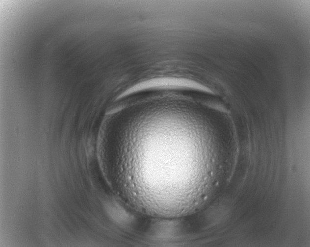 X0000082720081200702021456