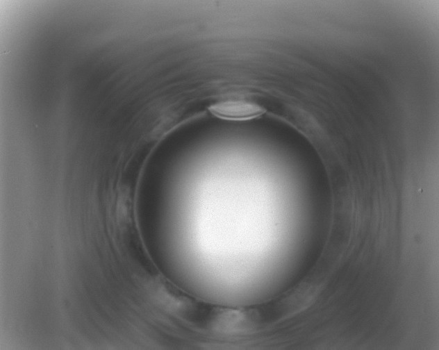 X0000082720083200702021456