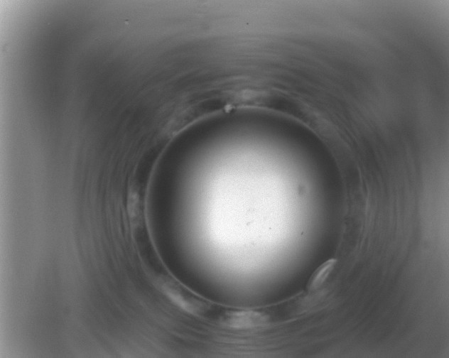 X0000082720087200702021456