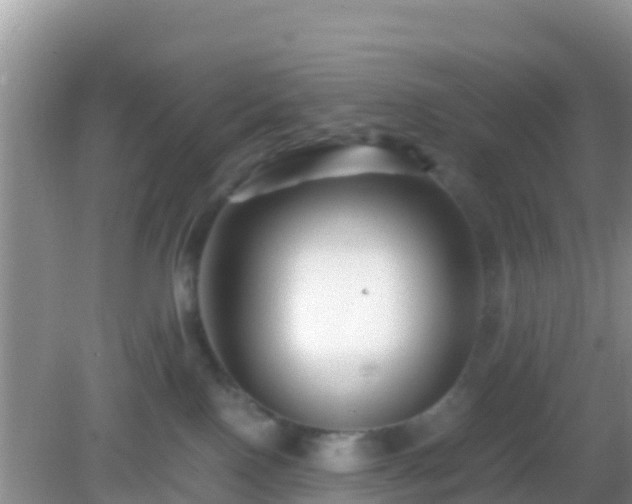 X0000082720090200702021456