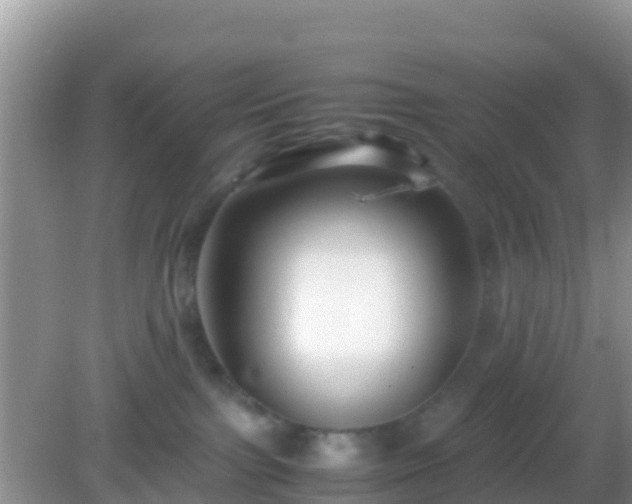 X0000082720091200702021456