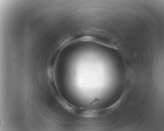 X0000082720094200702021456