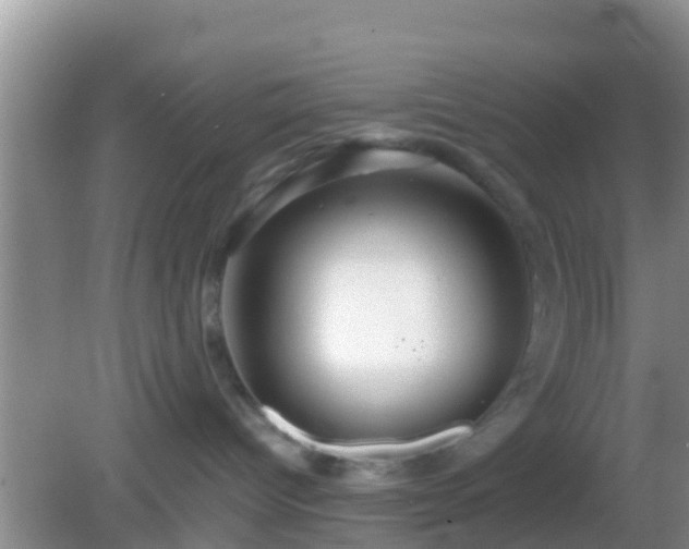 X0000082720096200702021456