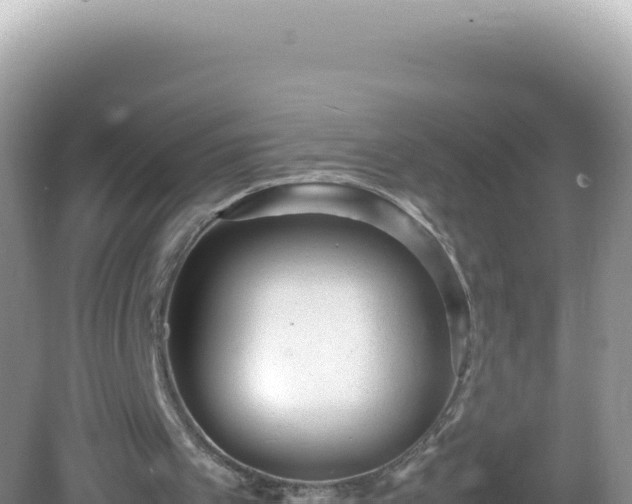 X0000082720097200702021455