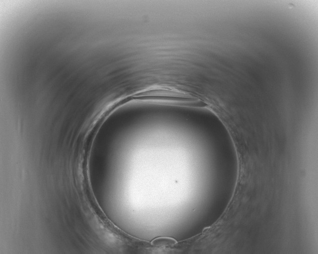 X0000082720098200702021455