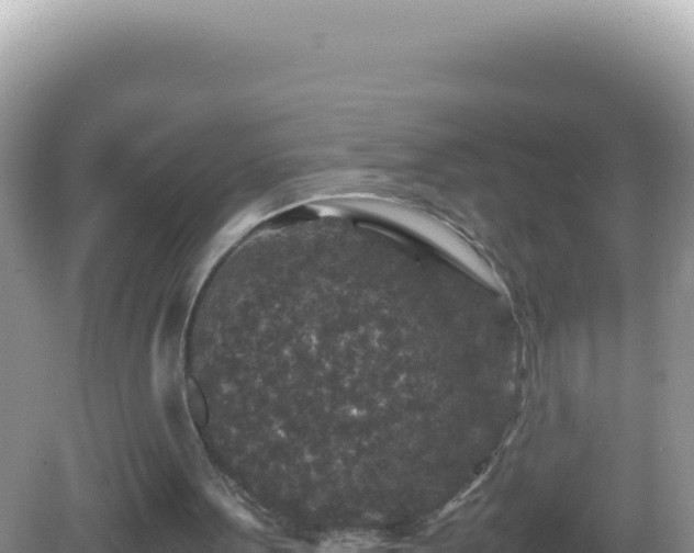 X0000082720099200702021455