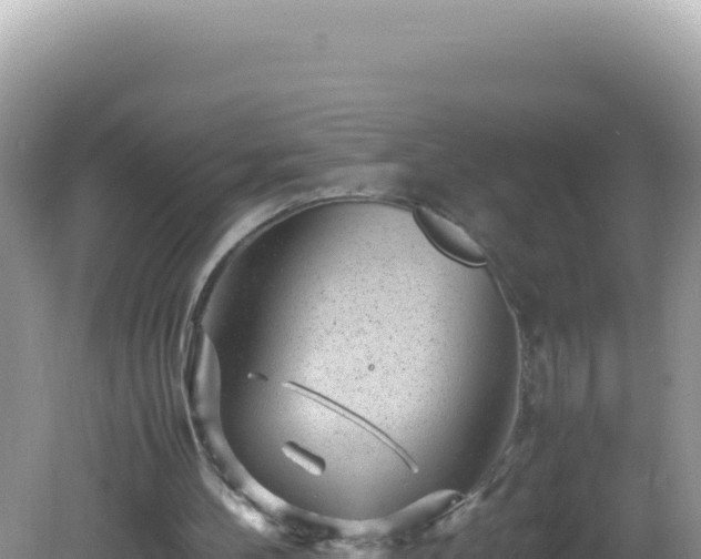 X0000082720100200702021455