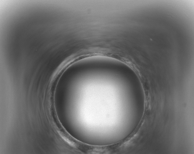 X0000082720101200702021455