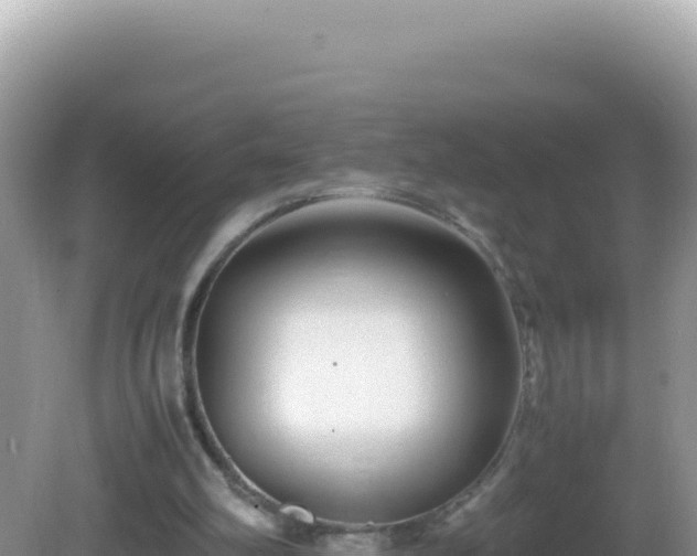 X0000082720102200702021455