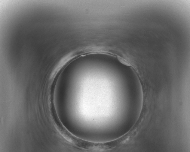 X0000082720103200702021455