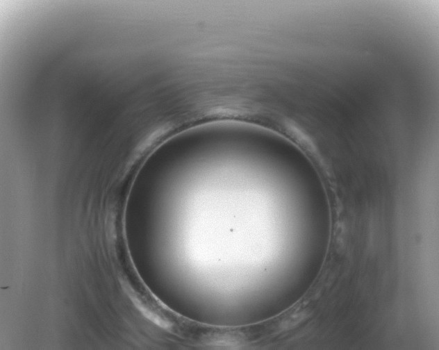 X0000082720106200702021455