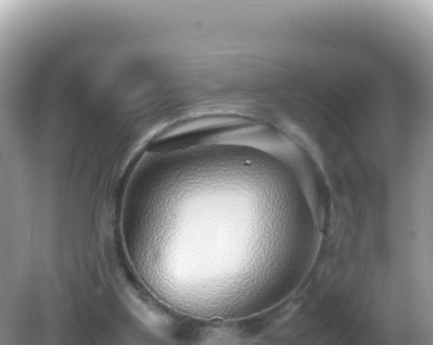 X0000082720107200702021455