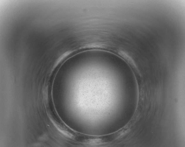 X0000082720108200702021455