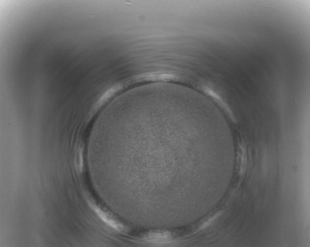 X0000082720110200702021455