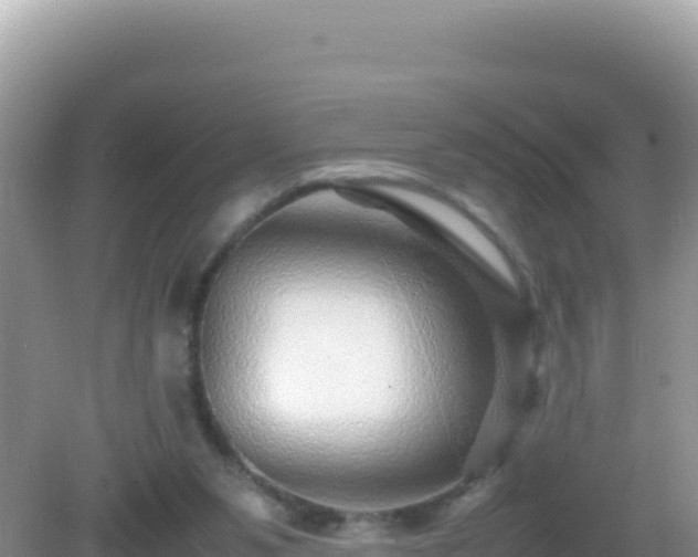 X0000082720111200702021455