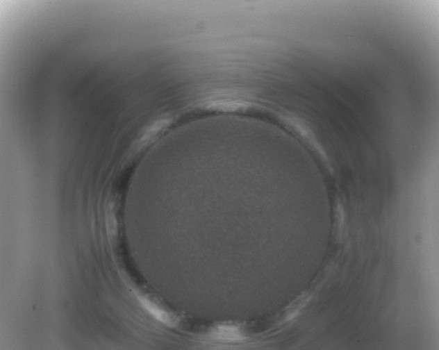 X0000082720114200702021455