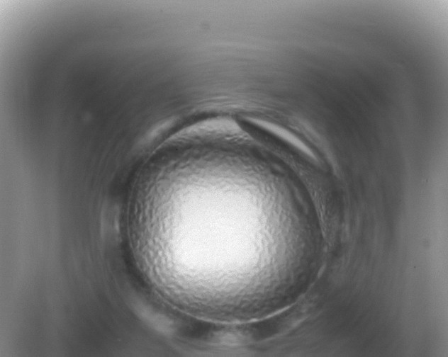 X0000082720115200702021455