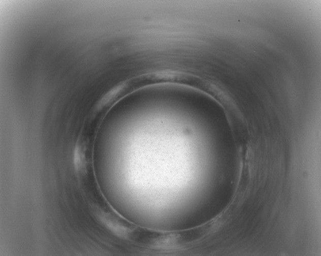 X0000082720116200702021455