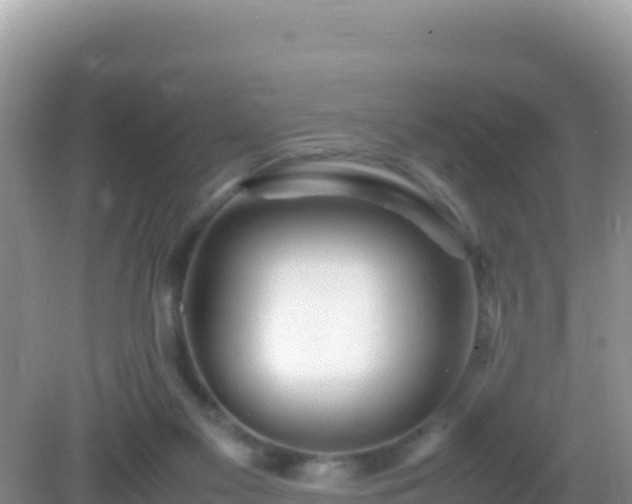 X0000082720117200702021455