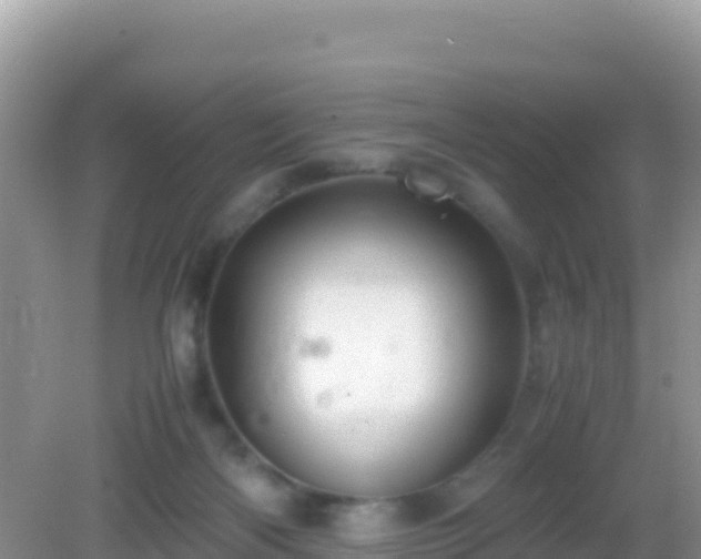 X0000082720122200702021455