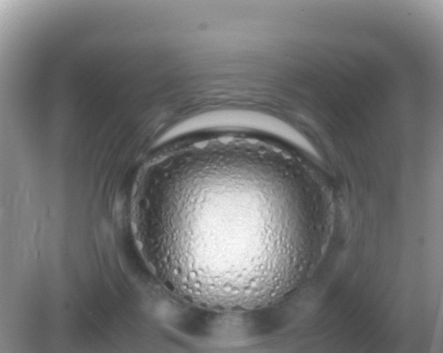 X0000082720123200702021455